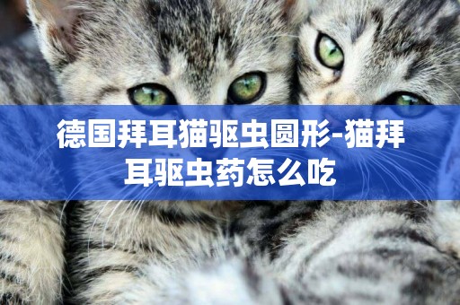 德國拜耳貓驅蟲圓形-貓拜耳驅蟲藥怎么吃