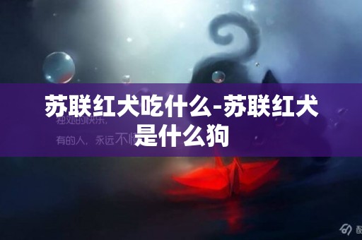 蘇聯紅犬吃什么-蘇聯紅犬是什么狗