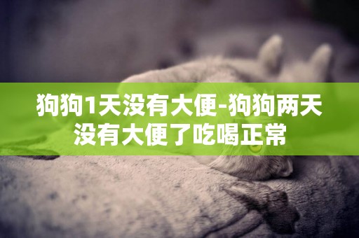 狗狗1天沒有大便-狗狗兩天沒有大便了吃喝正常
