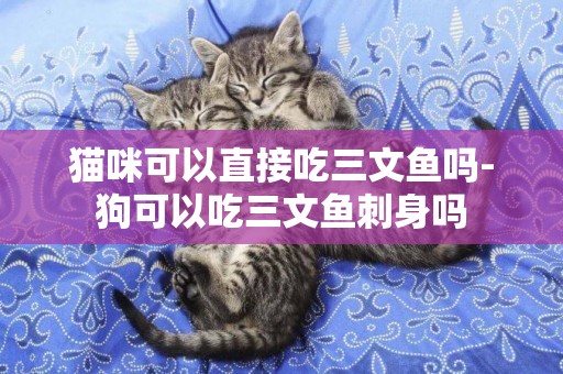 貓咪可以直接吃三文魚嗎-狗可以吃三文魚刺身嗎