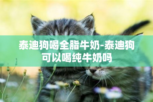 泰迪狗喝全脂牛奶-泰迪狗可以喝純牛奶嗎