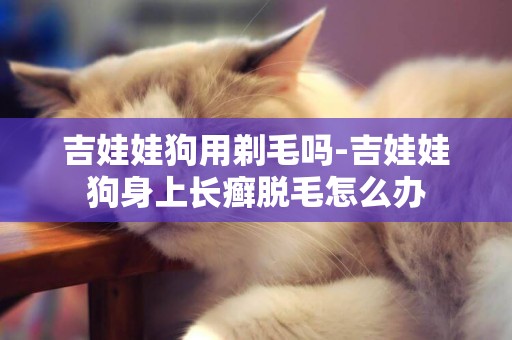 吉娃娃狗用剃毛嗎-吉娃娃狗身上長癬脫毛怎么辦