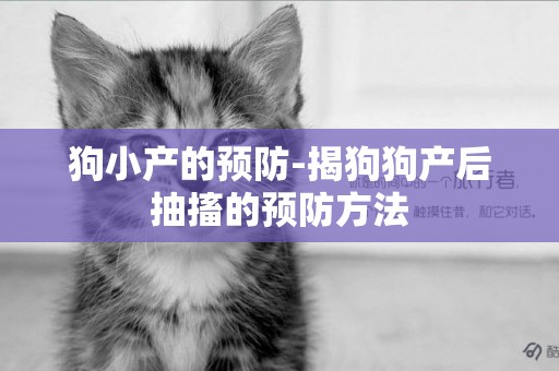 狗小產的預防-揭狗狗產后抽搐的預防方法
