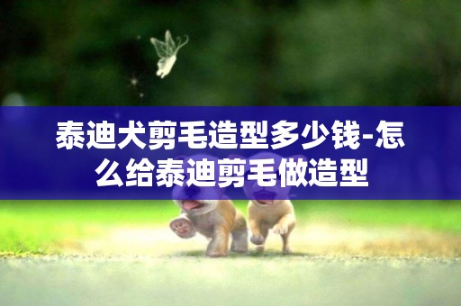 泰迪犬剪毛造型多少錢-怎么給泰迪剪毛做造型
