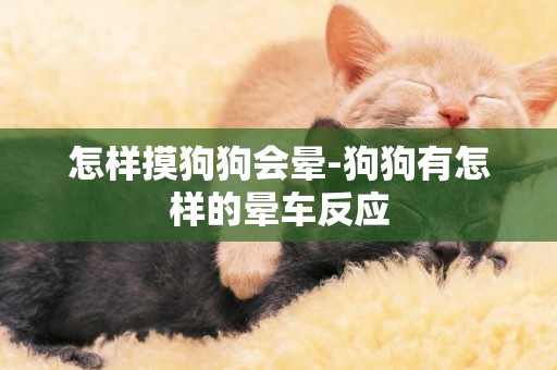 怎樣摸狗狗會暈-狗狗有怎樣的暈車反應