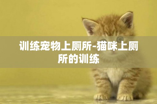 訓練寵物上廁所-貓咪上廁所的訓練