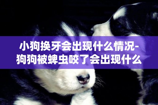 小狗換牙會出現什么情況-狗狗被蜱蟲咬了會出現什么情況