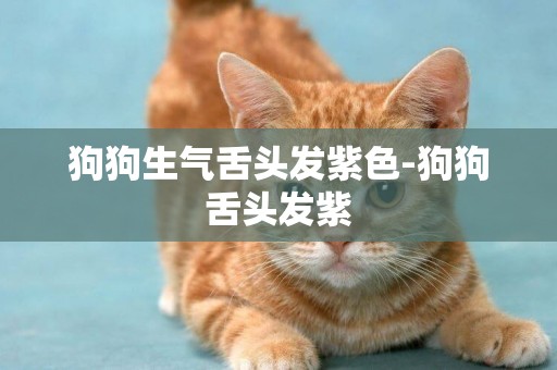 狗狗生氣舌頭發紫色-狗狗舌頭發紫