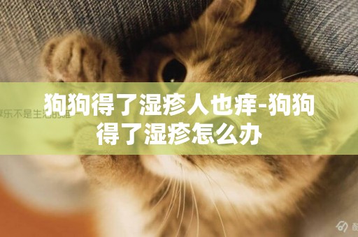狗狗得了濕疹人也癢-狗狗得了濕疹怎么辦