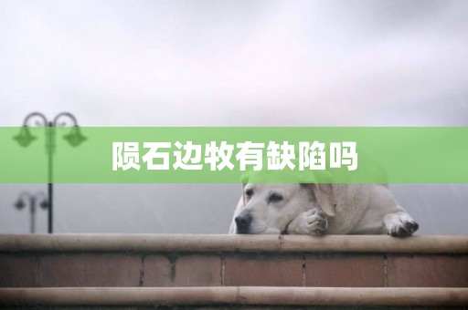 隕石邊牧有缺陷嗎