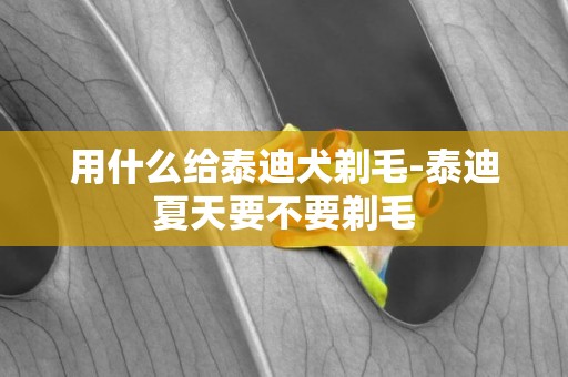 用什么給泰迪犬剃毛-泰迪夏天要不要剃毛