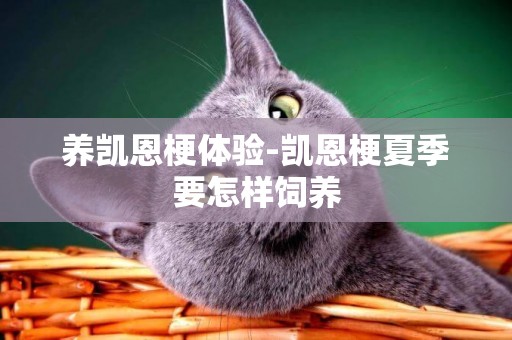 養凱恩梗體驗-凱恩梗夏季要怎樣飼養