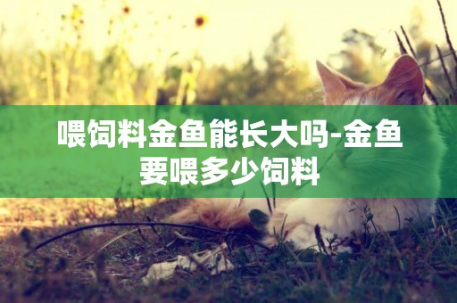 喂飼料金魚能長大嗎-金魚要喂多少飼料