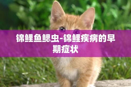 錦鯉魚鰓蟲-錦鯉疾病的早期癥狀