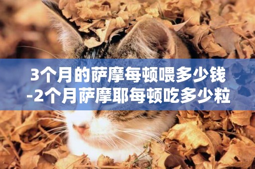 3個月的薩摩每頓喂多少錢-2個月薩摩耶每頓吃多少粒