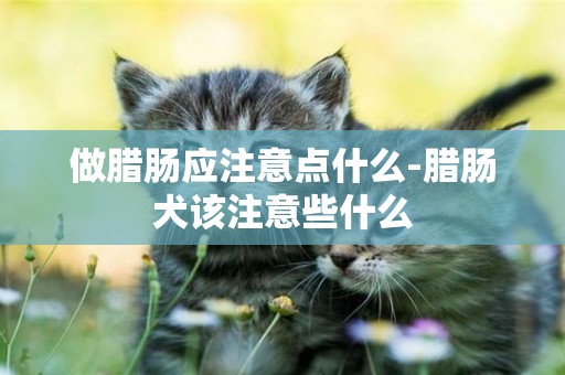 做臘腸應注意點什么-臘腸犬該注意些什么