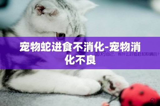 寵物蛇進食不消化-寵物消化不良