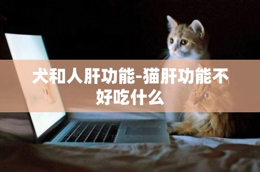 犬和人肝功能-貓肝功能不好吃什么