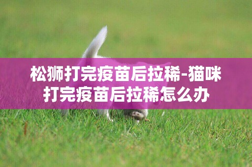 松獅打完疫苗后拉稀-貓咪打完疫苗后拉稀怎么辦