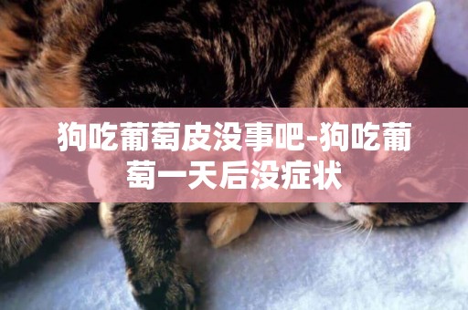 狗吃葡萄皮沒事吧-狗吃葡萄一天后沒癥狀