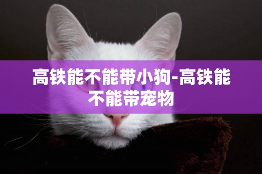 高鐵能不能帶小狗-高鐵能不能帶寵物