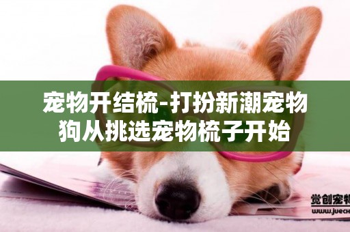 寵物開結梳-打扮新潮寵物狗從挑選寵物梳子開始