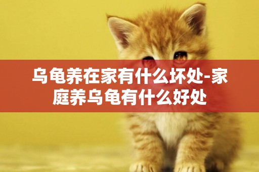 烏龜養在家有什么壞處-家庭養烏龜有什么好處