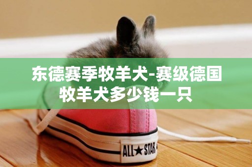 東德賽季牧羊犬-賽級德國牧羊犬多少錢一只