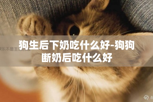 狗生后下奶吃什么好-狗狗斷奶后吃什么好