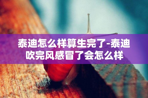 泰迪怎么樣算生完了-泰迪吹完風感冒了會怎么樣