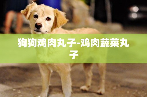 狗狗雞肉丸子-雞肉蔬菜丸子