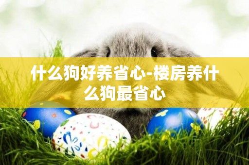 什么狗好養省心-樓房養什么狗最省心