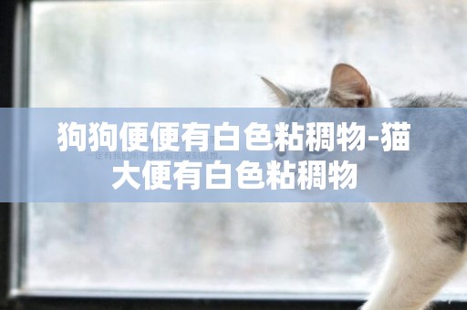 狗狗便便有白色粘稠物-貓大便有白色粘稠物