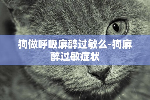 狗做呼吸麻醉過敏么-狗麻醉過敏癥狀