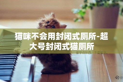 貓咪不會用封閉式廁所-超大號封閉式貓廁所