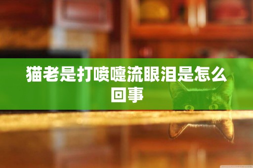 貓老是打噴嚏流眼淚是怎么回事