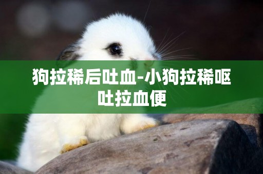 狗拉稀后吐血-小狗拉稀嘔吐拉血便