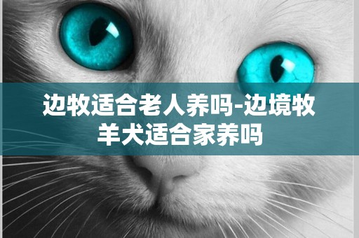 邊牧適合老人養嗎-邊境牧羊犬適合家養嗎