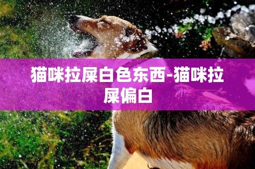 貓咪拉屎白色東西-貓咪拉屎偏白