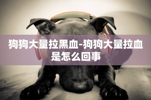 狗狗大量拉黑血-狗狗大量拉血是怎么回事