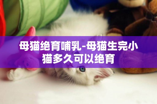 母貓絕育哺乳-母貓生完小貓多久可以絕育