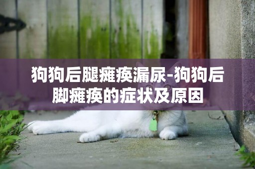 狗狗后腿癱瘓漏尿-狗狗后腳癱瘓的癥狀及原因