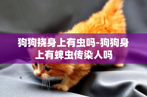 狗狗撓身上有蟲嗎-狗狗身上有蜱蟲傳染人嗎