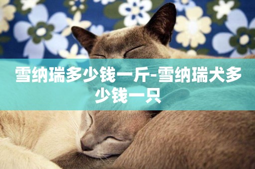 雪納瑞多少錢一斤-雪納瑞犬多少錢一只