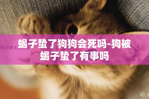 蝎子蟄了狗狗會死嗎-狗被蝎子蟄了有事嗎