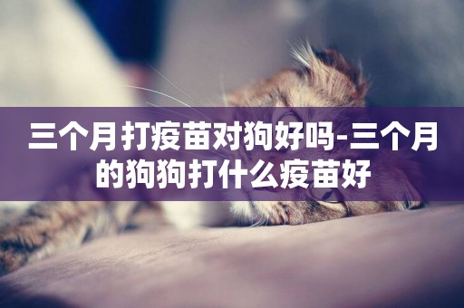 三個月打疫苗對狗好嗎-三個月的狗狗打什么疫苗好