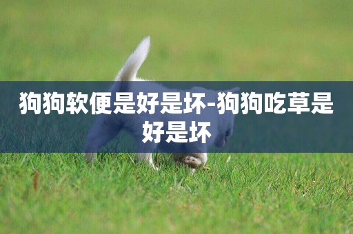 狗狗軟便是好是壞-狗狗吃草是好是壞