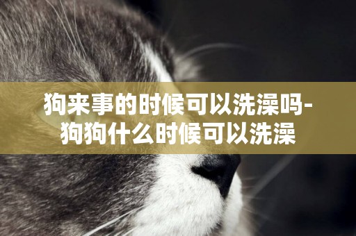 狗來事的時候可以洗澡嗎-狗狗什么時候可以洗澡