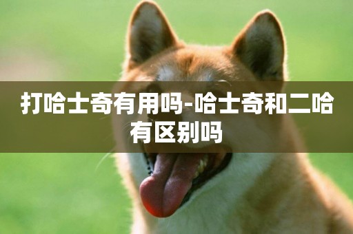 打哈士奇有用嗎-哈士奇和二哈有區別嗎