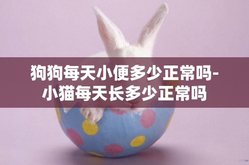 狗狗每天小便多少正常嗎-小貓每天長多少正常嗎